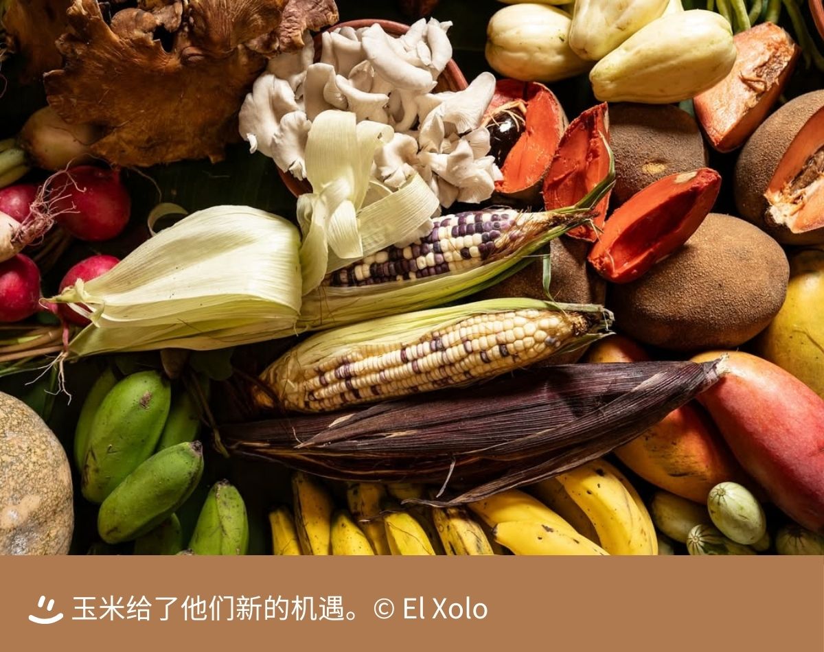 69271d2cc09b5.jpg 69271d2cc09b5.jpg