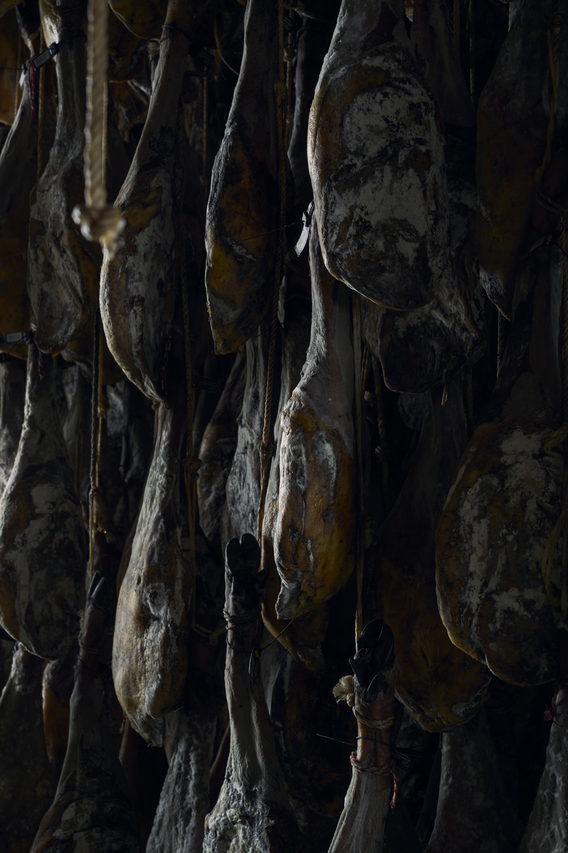 693c1c0ab96ee.jpg 693c1c0ab96ee.jpg