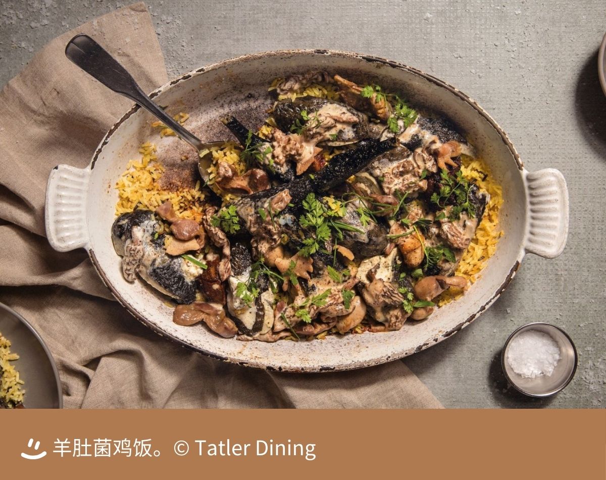 69b785daaa6b8.jpg 69b785daaa6b8.jpg