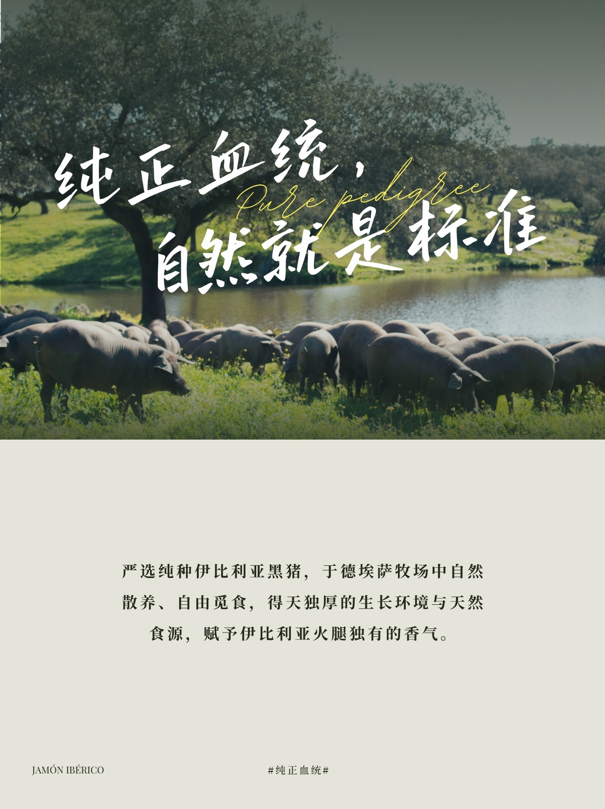 6a06af35ca4d4.jpg