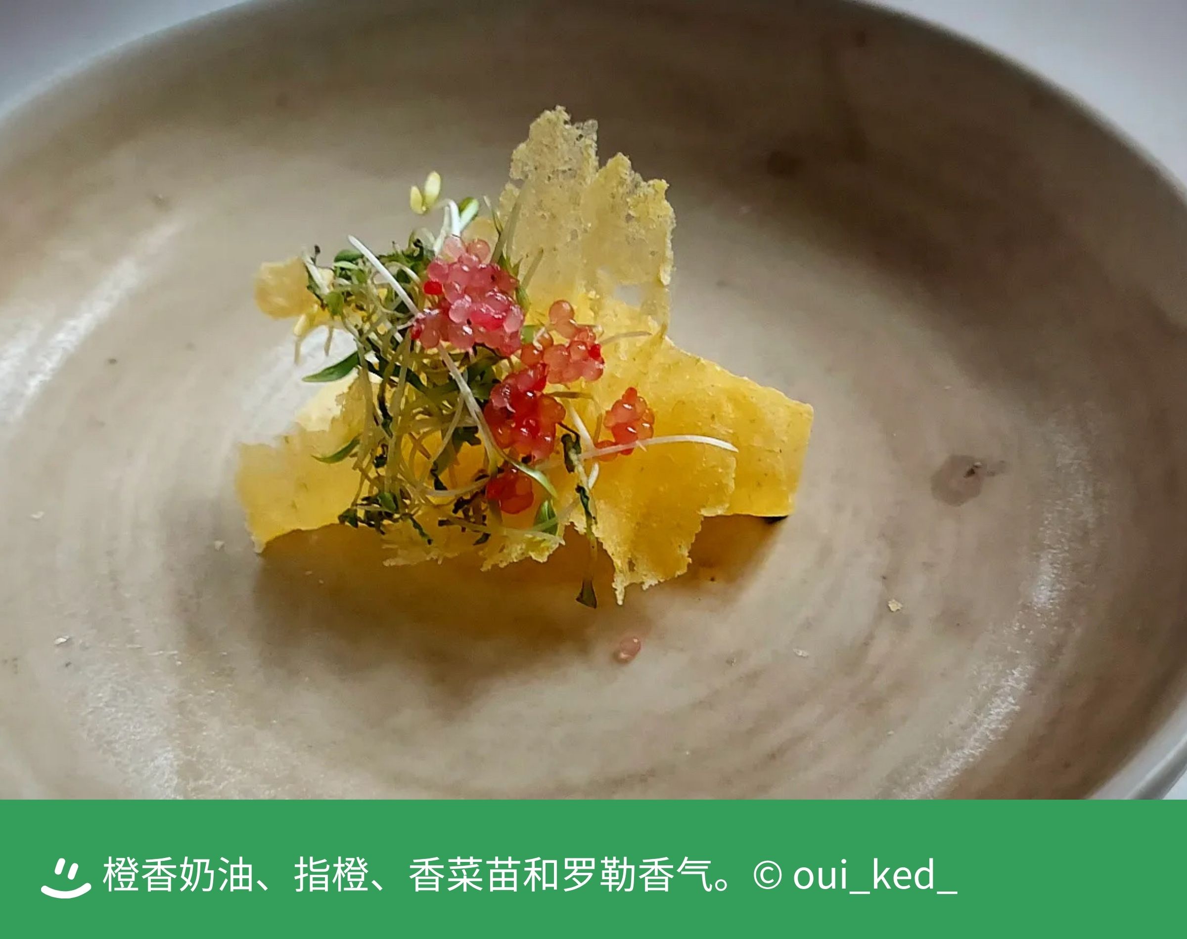 6a0fe43075691.jpg