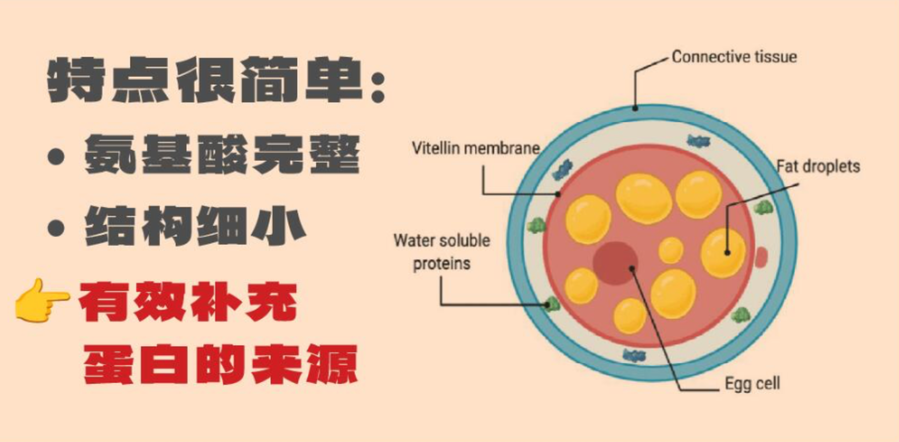 6a27cdad65718.png