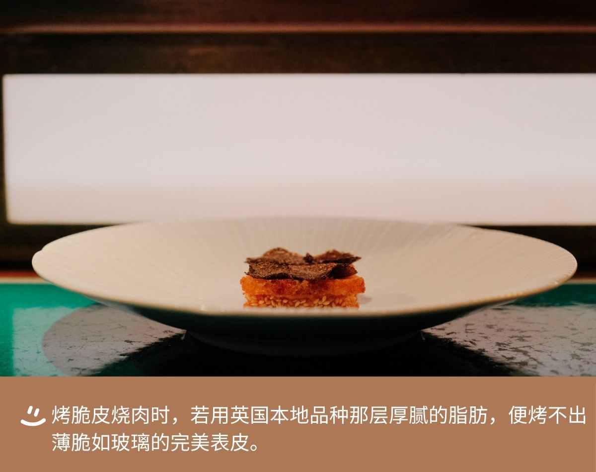 6a3b5a6291e92.jpg