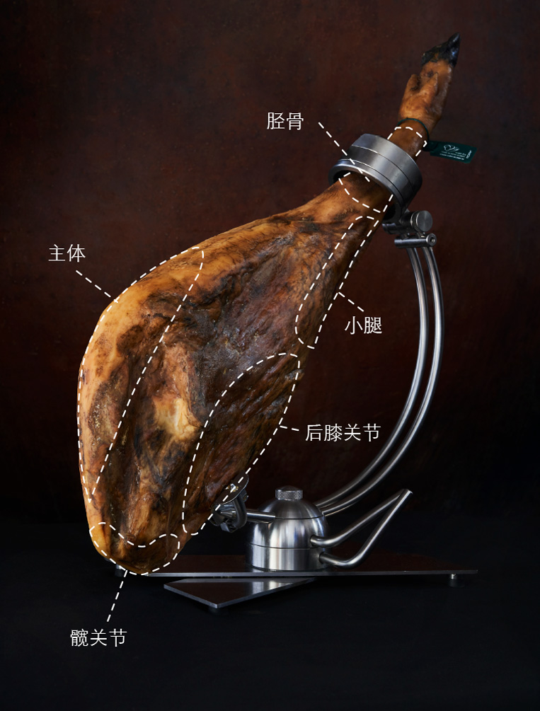 6a4b5f3925745.jpg