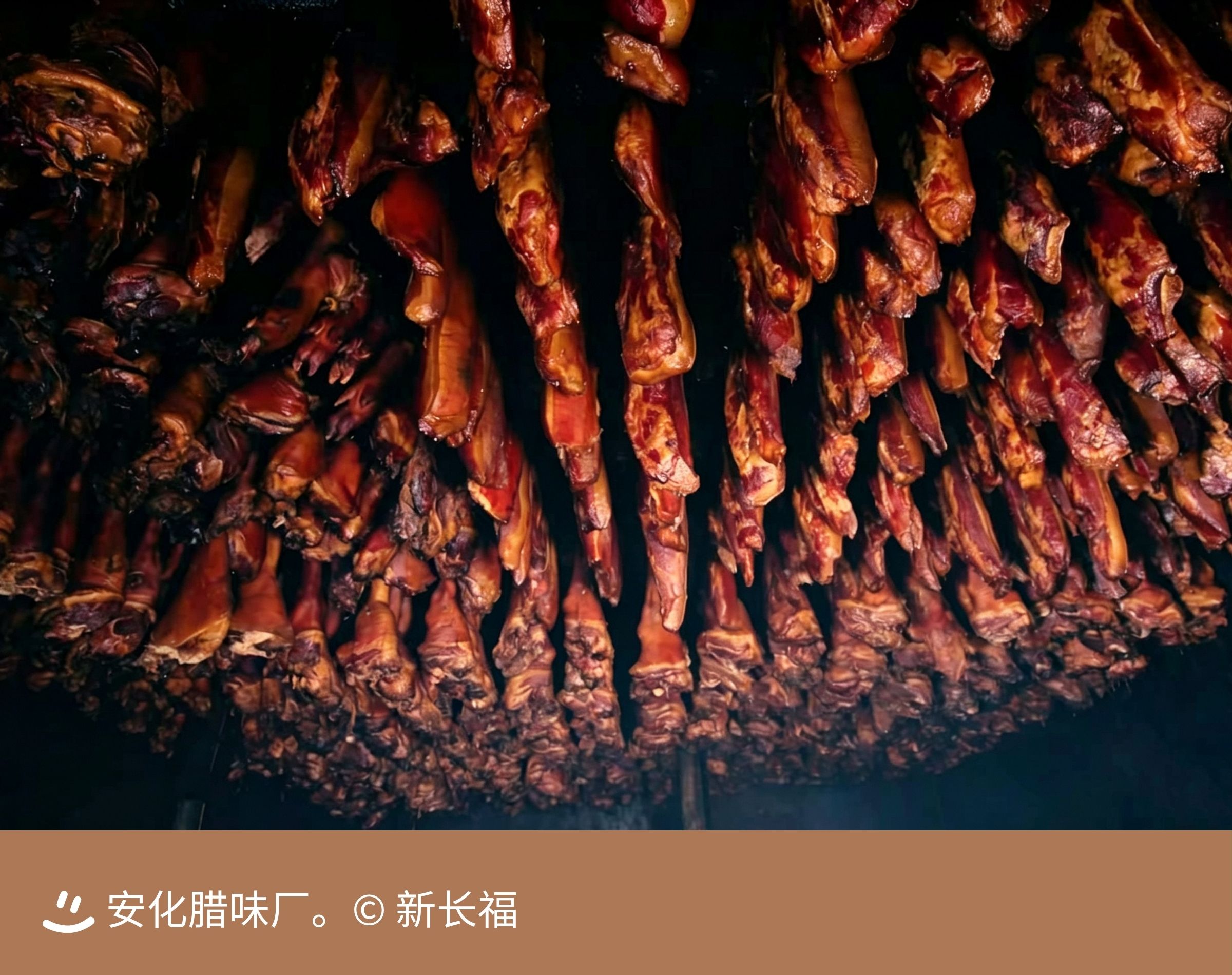6a8d139cdc130.jpg