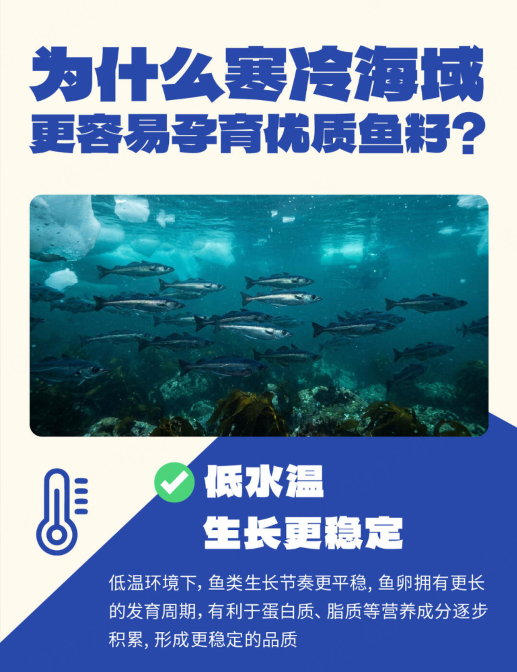 6aa21373b8887.png
