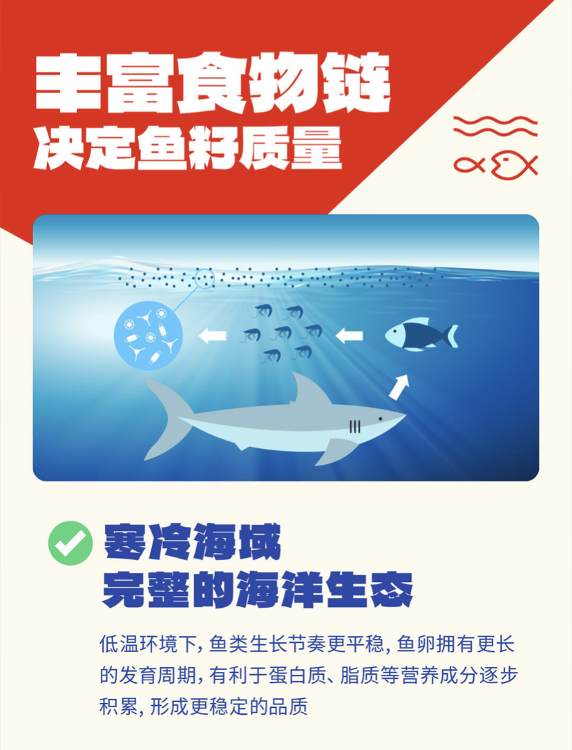 6aa213a17471b.png